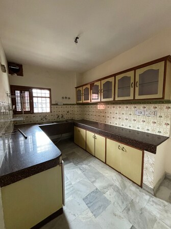 3 BHK Apartment For Rent in Sector 49 Chandigarh  7740909