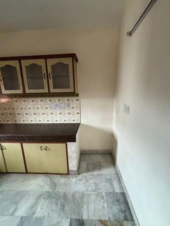 3 BHK Apartment For Rent in Sector 49 Chandigarh  7740909