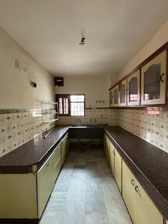 3 BHK Apartment For Rent in Sector 49 Chandigarh  7740909