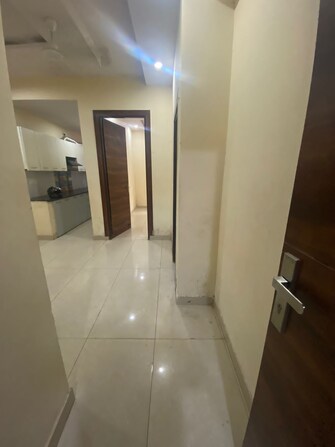 3 BHK Apartment For Rent in A V Vihaan Galaxy Kulesara Greater Noida  7741030