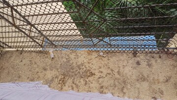 1 BHK Apartment – Exterior View View at Waghbil - for Sale