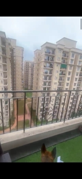 2 BHK Apartment For Rent in Signature The Serenas