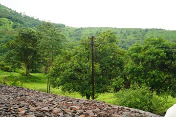  Plot – Garden View at Nasrapur Velha Road - for Sale