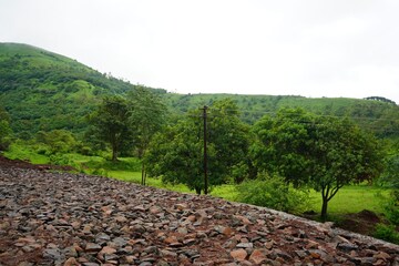 Plot Area in  Plot at Nasrapur Velha Road – for Sale