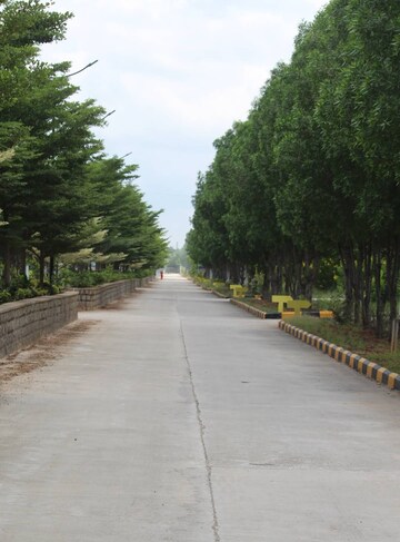 Plot Area in  Plot at Shankarpalli – for Sale