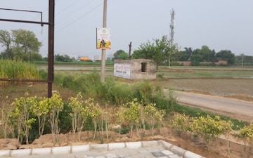 Plot For Sale in Sector 114