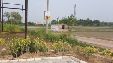  Plot For Sale in Sector 114