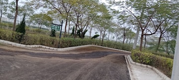 Plot For Resale in Sector 114 Mohali  7742892