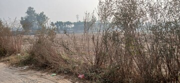 Plot Area in  Plot at Tappal – for Sale