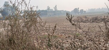 Plot Area in  Plot at Tappal – for Sale