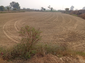 Plot For Resale in Dodhpur Aligarh  7743060