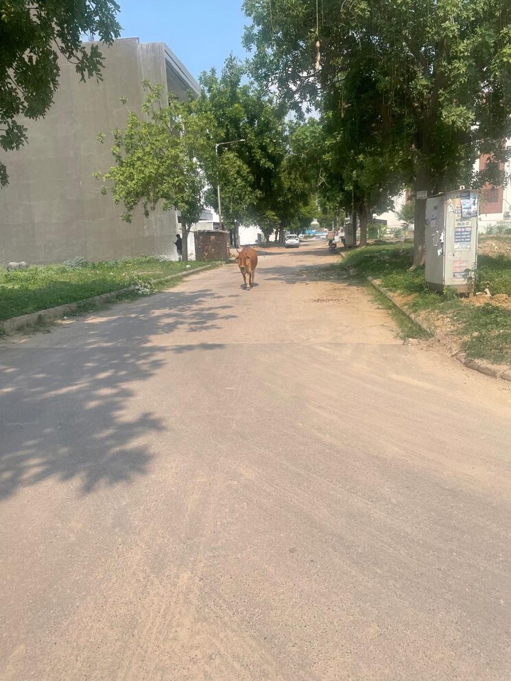  Parking, sector 85  350 Sq.Yd. Plot In Sector 85 Faridabad 7743244