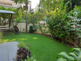 6 BHK Villa For Resale in Ambawadi Ahmedabad  7743517