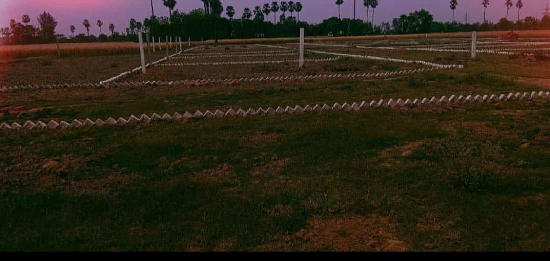 Plot For Resale in Bihta Patna  7743587