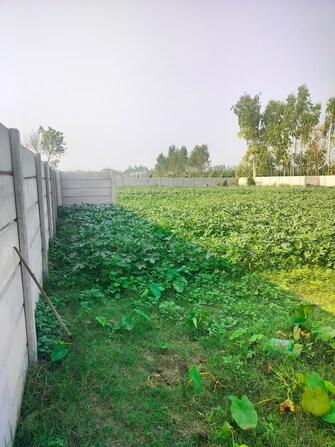 Plot For Resale in Rama Ganga Garden Garhmukteshwar Ghaziabad  7743666