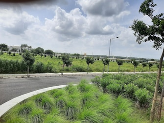 Plot For Resale in Aparna Western Meadows Shankarpalli Hyderabad  7744392