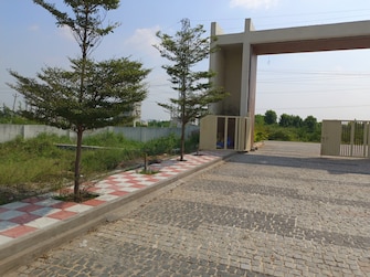 Plot For Resale in Sukrithi League Prime Avenue Chitkul Hyderabad  7744570