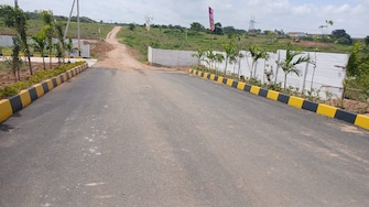 Plot For Resale in Pearl City Kadthal Kadthal Hyderabad  7745140