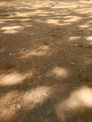 Plot Area in  Plot at Pratap Nagar – for Sale