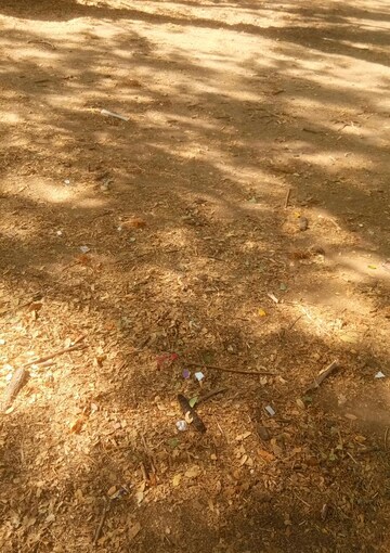 Plot Area in  Plot at Pratap Nagar – for Sale