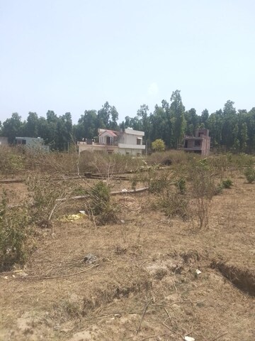 Plot Area in  Plot at Raipur Road – for Sale
