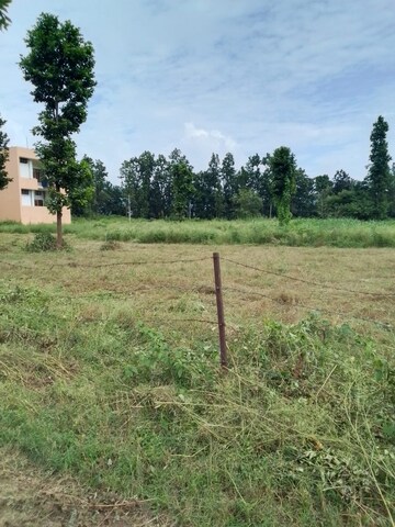 Plot Area in  Plot at Raipur Road – for Sale