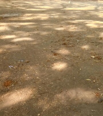  Plot – Exterior View View at Narendra Nagar - for Sale
