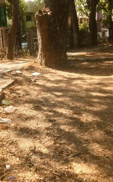 Plot Area in  Plot at Narendra Nagar – for Sale