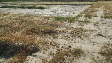 Plot Area in  Plot at Palwal – for Sale