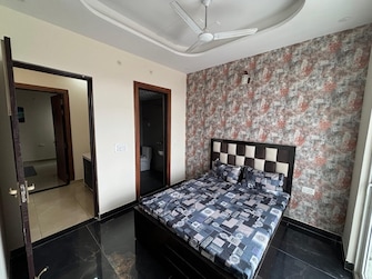 2 BHK Apartment For Rent in Sector 9 Gurgaon  7745358