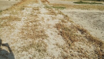 Plot Area in  Plot at Palwal – for Sale