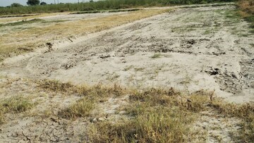 Plot Area in  Plot at Palwal – for Sale