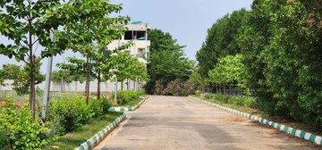  Plot – Exterior View View at Malkapur - for Sale