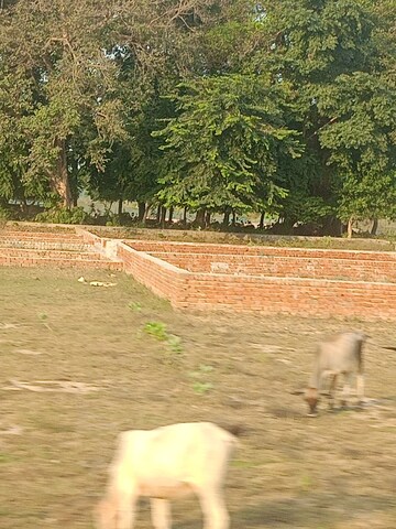 Plot Area in  Plot at Anam Homes, Juggaur – for Sale