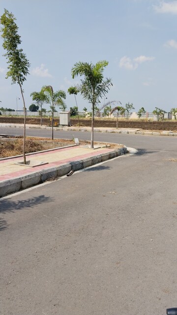 Plot Area in  Plot at Peddapur – for Sale