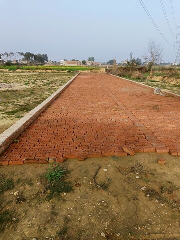 Plot Area in  Plot at Iim Road – for Sale