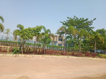 Plot Area in  Plot at Sejbahar – for Sale