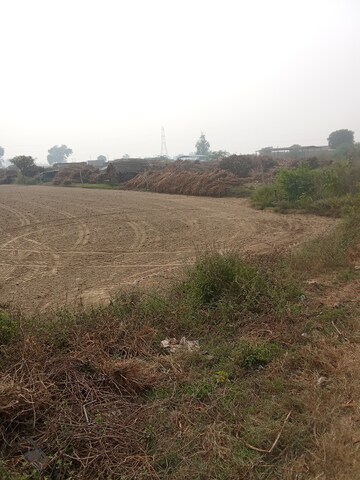  Plot For Sale in Tappal