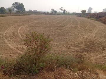 Plot Area in  Plot at Tappal – for Sale