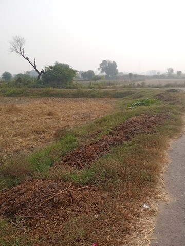  Plot For Sale in Tappal
