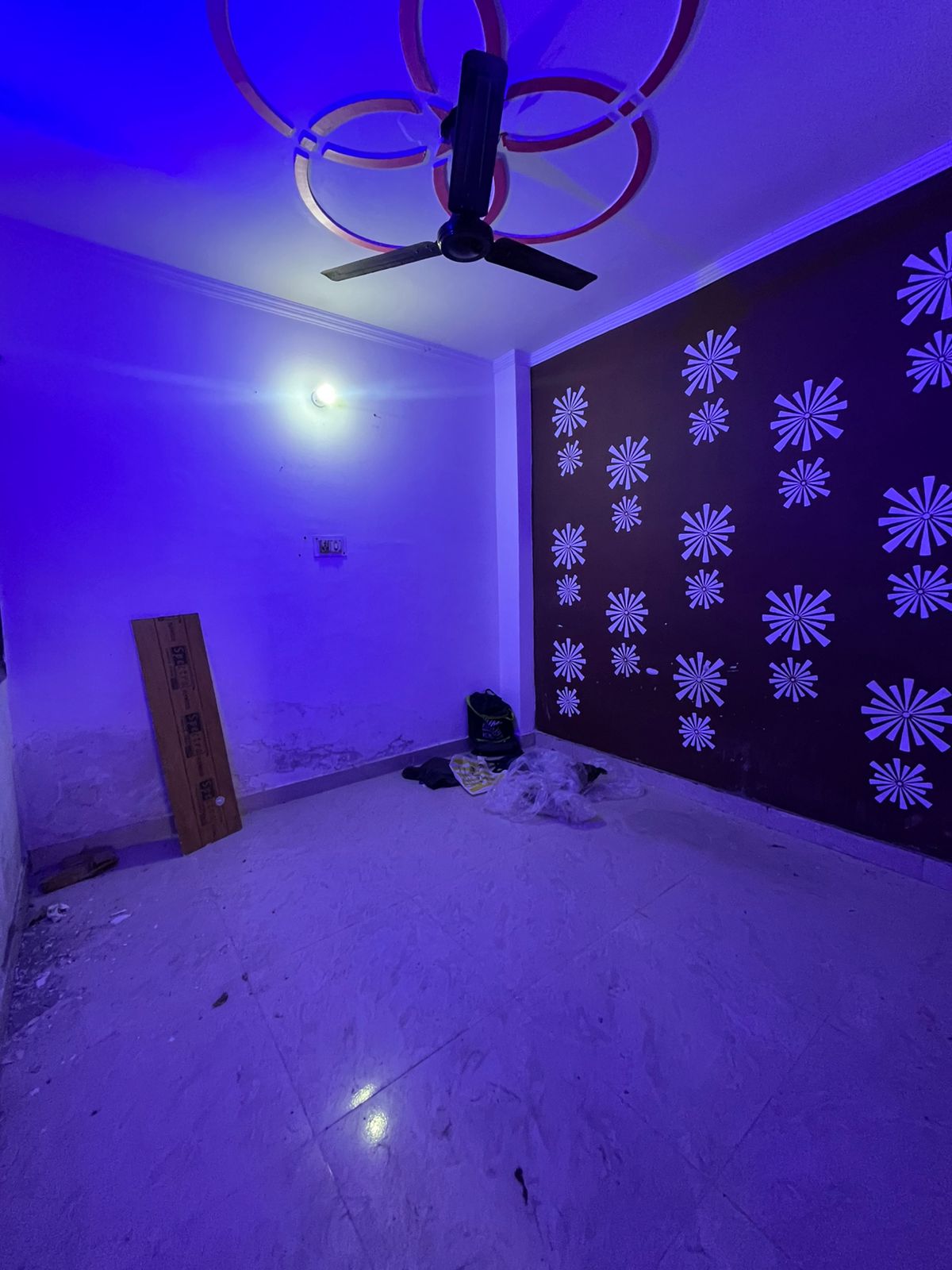 2 BHK Builder Floor For Rent in Dream Home Properties  bu