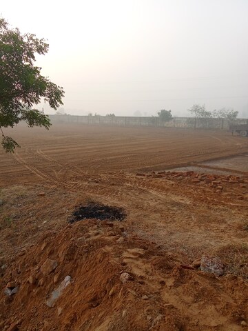 Plot Area in  Plot at Tappal – for Sale