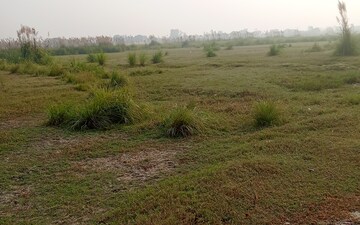 Plot For Sale in Tappal