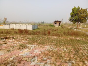 Plot Area in  Plot at Tappal – for Sale