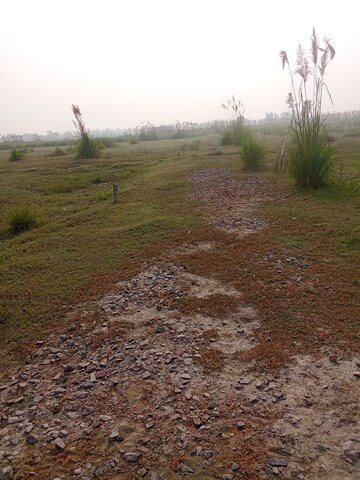  Plot For Sale in Tappal