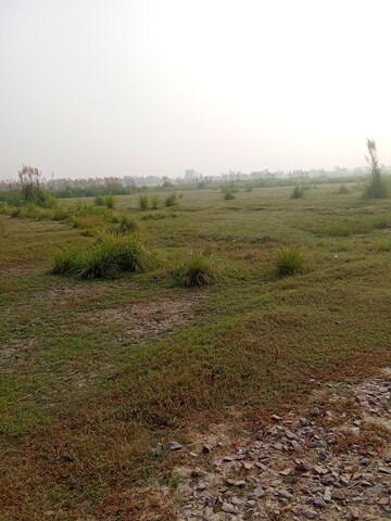 Plot Area in  Plot at Tappal – for Sale