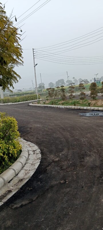  Plot For Sale in Sector 115