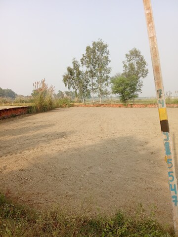  Plot For Sale in Tappal