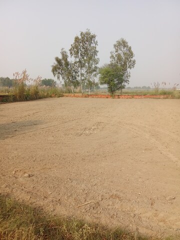 Plot Area in  Plot at Tappal – for Sale
