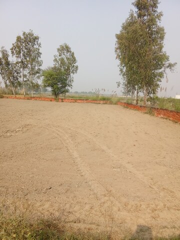 Plot Area in  Plot at Tappal – for Sale